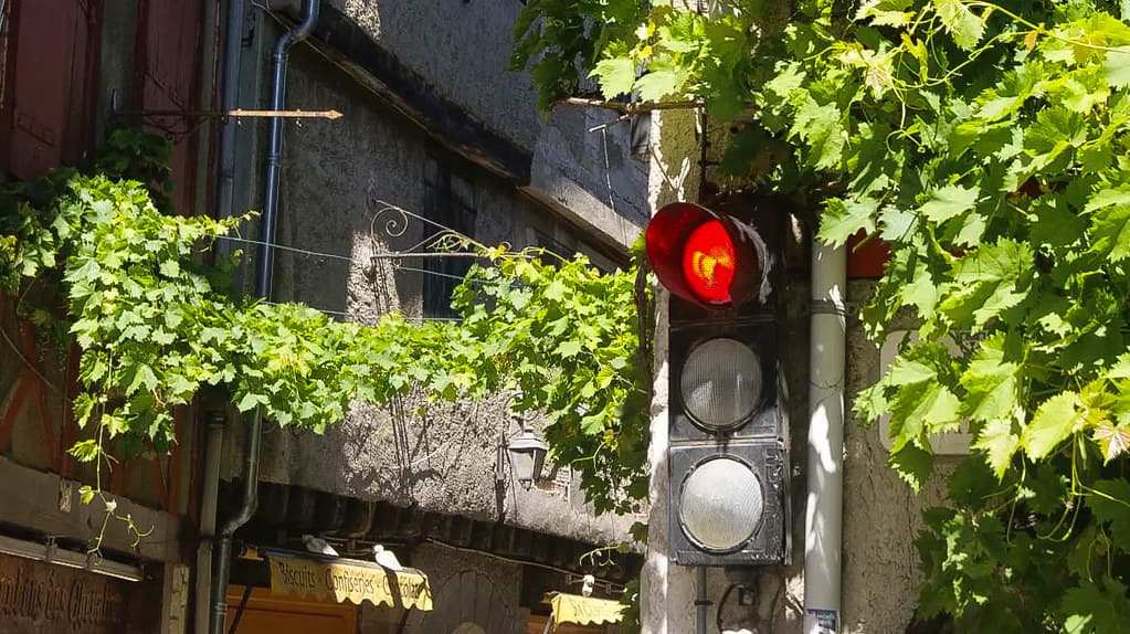 Feu