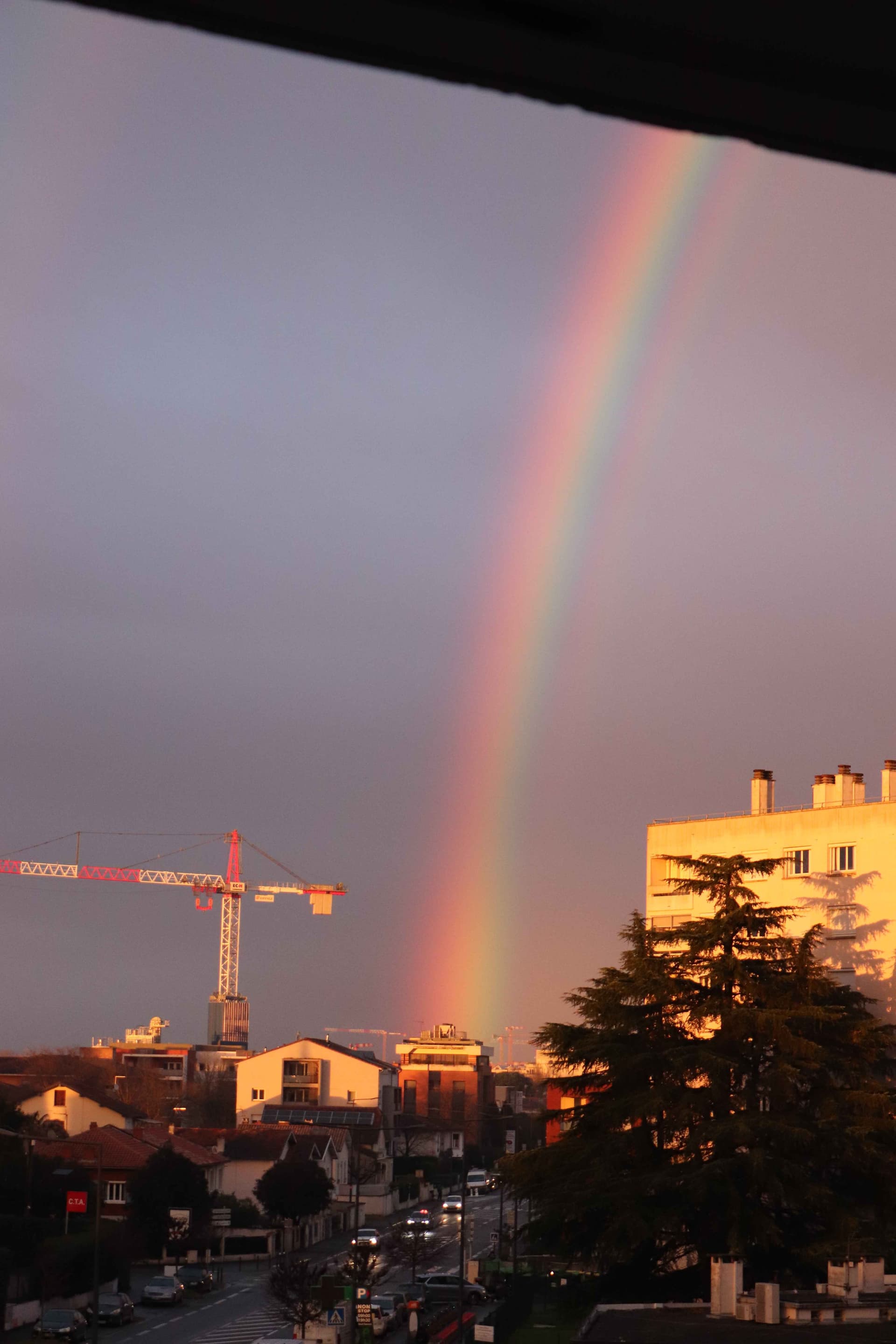 Urban Rainbow