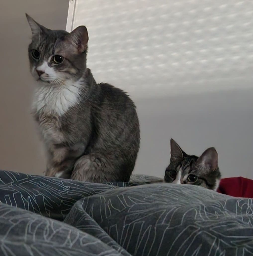 Grisbouille with her brother