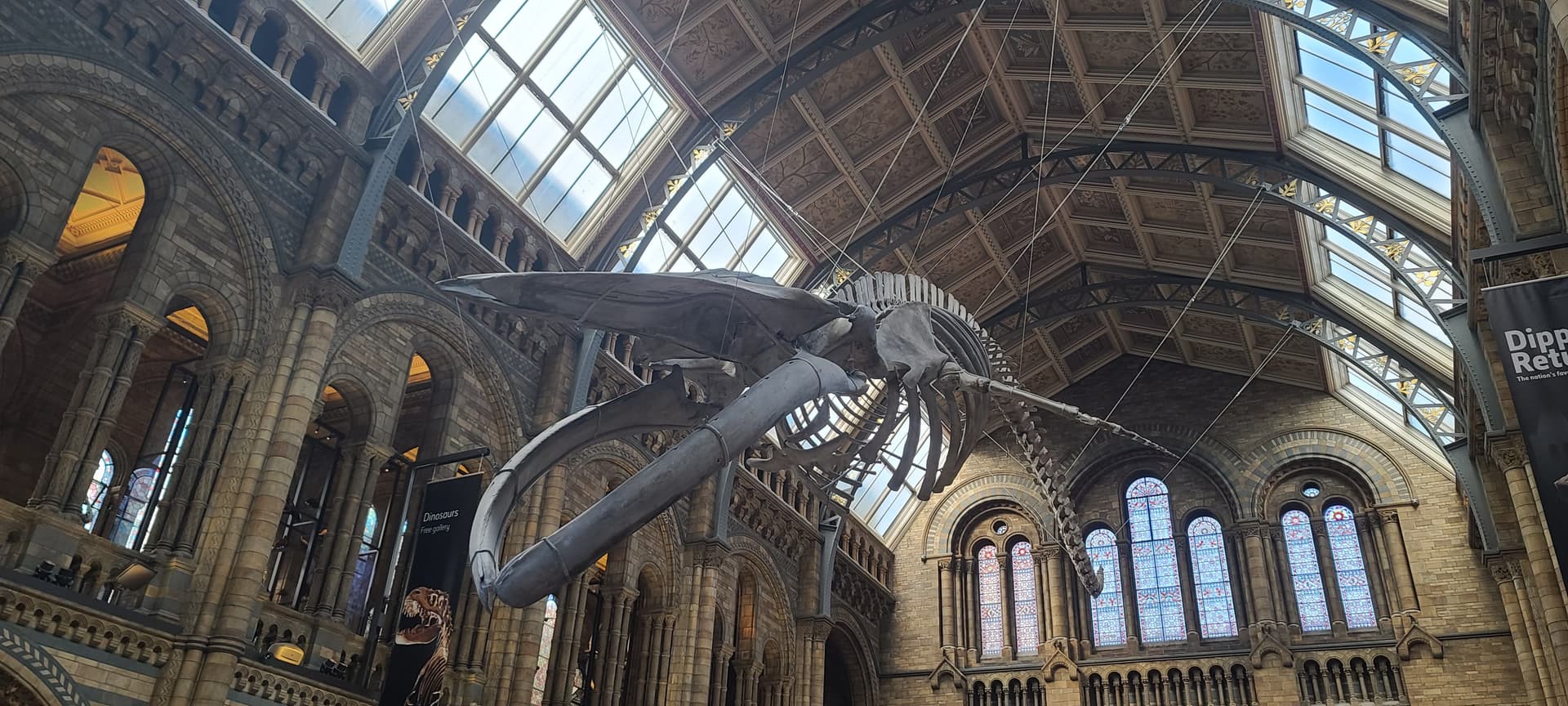 Natural History Museum